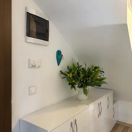 Apartament Sehir Merkezinde Kiralik